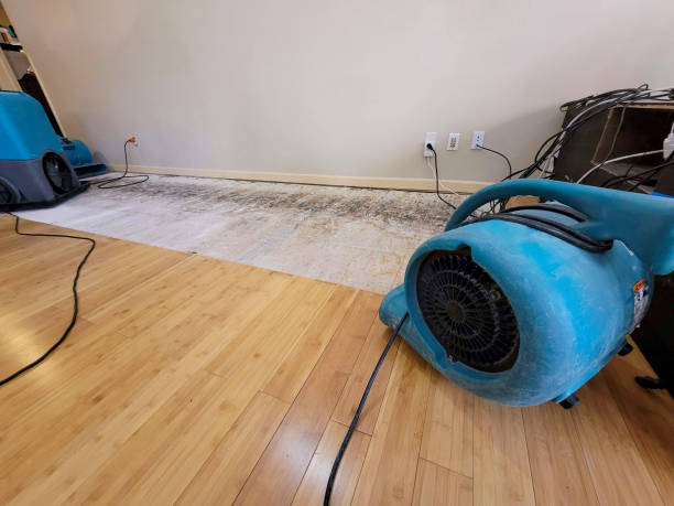 Professional Water Damage Repair technician working in La Quinta, CA